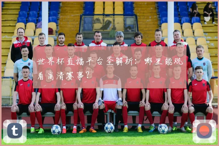 世界杯直播平台全解析：哪里能观看高清赛事？