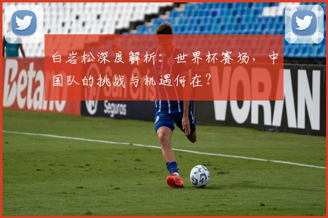 白岩松深度解析：世界杯赛场，中国队的挑战与机遇何在？
