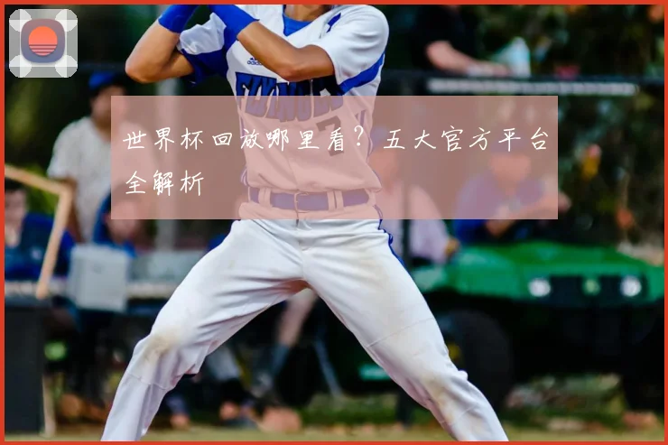 世界杯回放哪里看?五大官方平台全解析