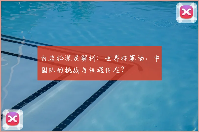 白岩松深度解析：世界杯赛场，中国队的挑战与机遇何在？